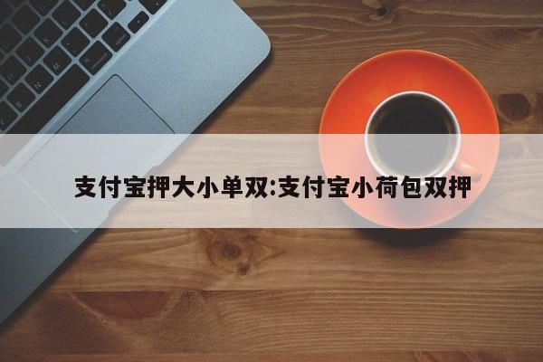 支付宝押大小单双:支付宝小荷包双押