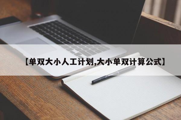 【单双大小人工计划,大小单双计算公式】