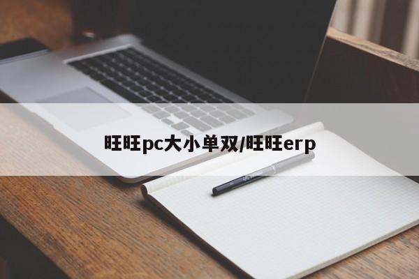 旺旺pc大小单双/旺旺erp